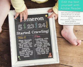 Editable Baby's First Year Month by Month Chalkboard Sign - Instant Download Digital File - Reusable!