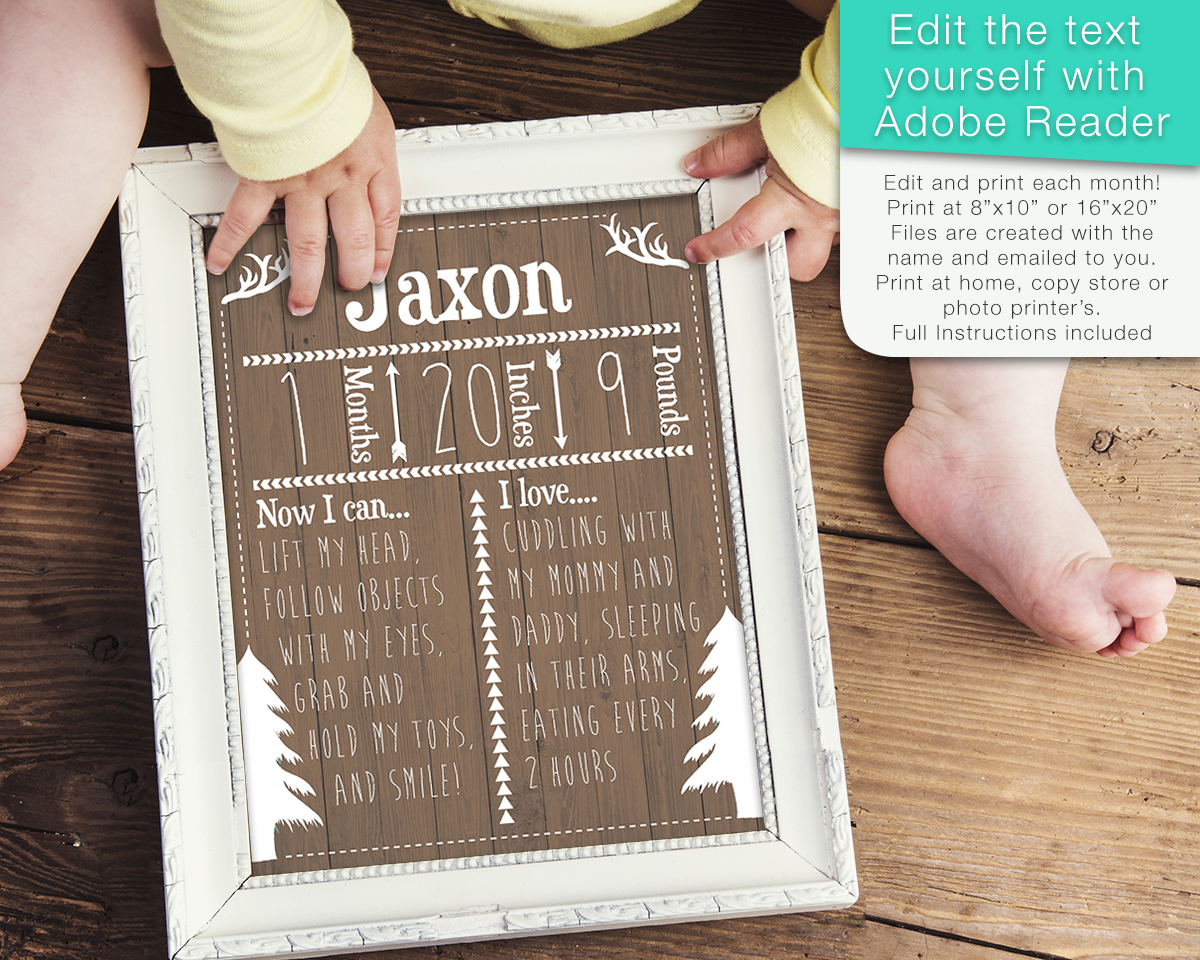 Editable Baby's First Year Rustic Month by Month Sign - Instant Download Digital File - Reusable!